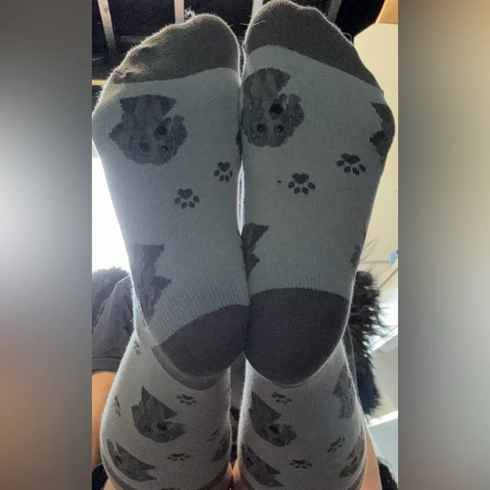 No Brand Men’s Weimaraner Brown and Cream Dress Socks Size 8-12 - Picture 3 of 3